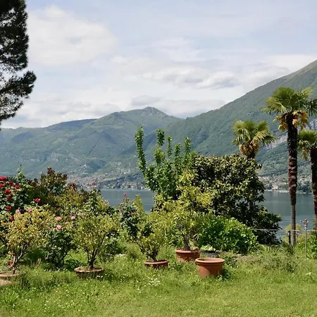 Marena Vila
