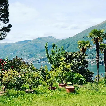 Marena Villa